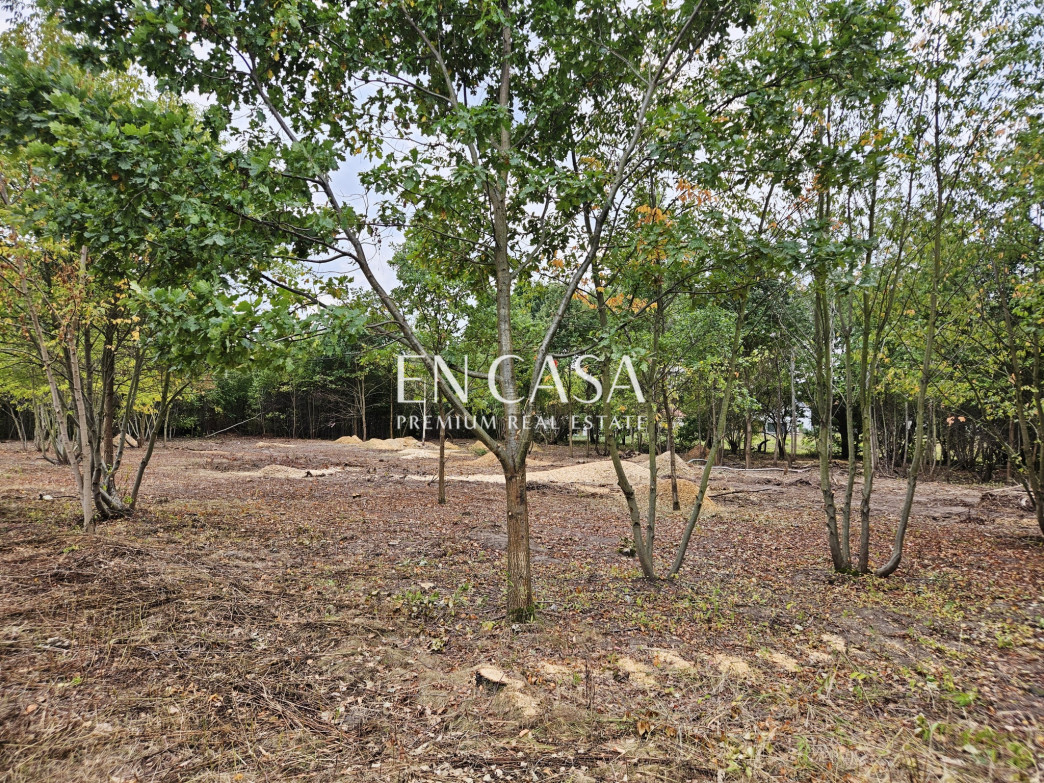 Plot Sale Kanie Polna 9
